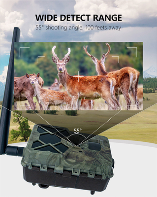 KW886 ट्रेल कैमरा 4G सिम कार्ड में निर्मित 24MP 1080P 30fps पर एपीपी नियंत्रण के साथ जलरोधक आईपी 67 गेम कैमरा