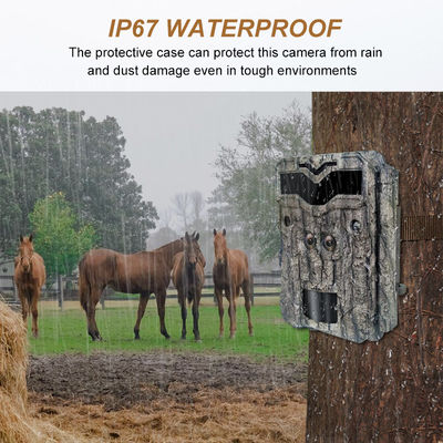 इस पेशेवर शिकार कैमरे के साथ अद्भुत 32MP तस्वीरें और 1080P वीडियो कैप्चर करें