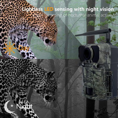 4G OEM/ODM वायरलेस ट्रायल कैमरा KW895 30MP 0.25s ट्रिगर स्पीड सिम कार्ड IP67 में निर्मित