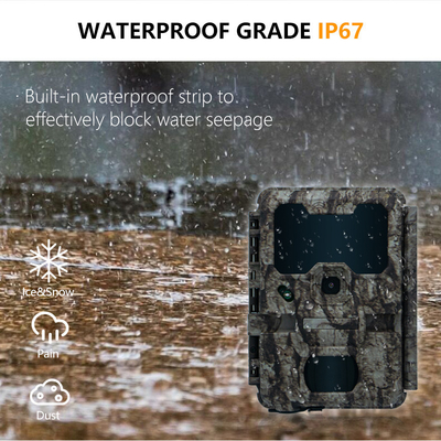 KW865 WIFI छिपा हुआ कैमरा जलरोधक IP67 20MP 0.6s ट्रिगर गति 512GB तक भंडारण रात दृष्टि निशान कैमरा