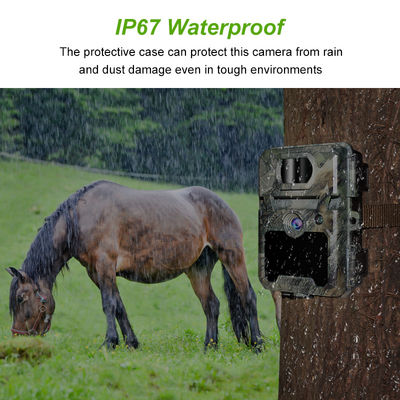 450 मिमी माइक्रो लेंस समर्थन और 1s-60m अंतराल HD शिकार कैमरा के साथ IP67 नो-ग्लू शिकार कैमरा