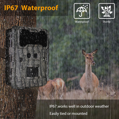 आउटडोर शिकार कैमरा KW696 डुअल लेंस 30MP वाटरप्रूफ IP67 1080p नाइट विजन 512GB तक स्टोरेज नो-ग्लू ट्रेल कैमरा
