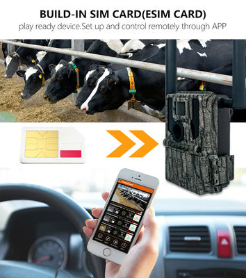 शिकार और ट्रेल कैमरा सौर पैनल 4G वायरलेस कैमरा KW897 दोहरी एंटीना के साथ 100 फीट रात रेंज 36MP 2K वीडियो 30fps पर