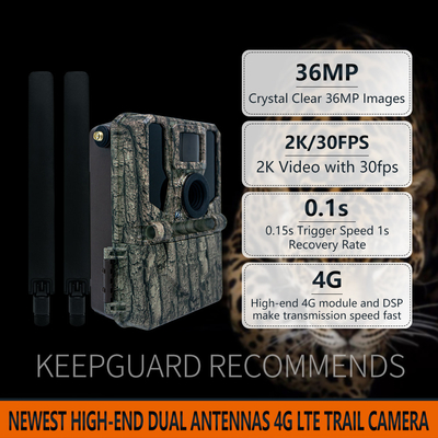 4G सेलुलर वायरलेस शिकार कैमरा KW897 सिम कार्ड में निर्मित 36MP कैप्चर 2K वीडियो 30fps के साथ वन्यजीवों के लिए दोहरी एंटेना के साथ