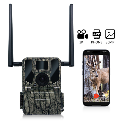 4G सेलुलर वायरलेस शिकार कैमरा KW897 सिम कार्ड में निर्मित 36MP कैप्चर 2K वीडियो 30fps के साथ वन्यजीवों के लिए दोहरी एंटेना के साथ