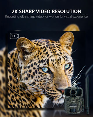 IP65 वाटरप्रूफ 4G ट्रेल कैमरा