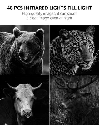 4जी ट्रेल कैमरा के साथ बेजोड़ प्रदर्शन का अनुभव करें वन्यजीव निगरानी के लिए सही समाधान