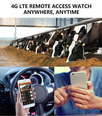 4जी ट्रेल कैमरा के साथ बेजोड़ प्रदर्शन का अनुभव करें वन्यजीव निगरानी के लिए सही समाधान