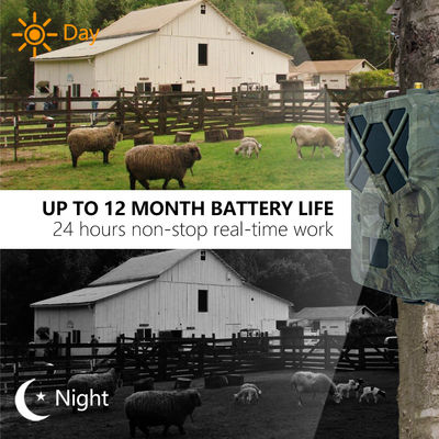 4जी ट्रेल कैमरा के साथ बेजोड़ प्रदर्शन का अनुभव करें वन्यजीव निगरानी के लिए सही समाधान