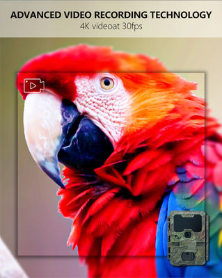 32MP छलावरण IP66 वाटरप्रूफ नाइट विजन हंटिंग कैमरा 4K वीडियो और 512GB मेमोरी कार्ड क्षमता के साथ