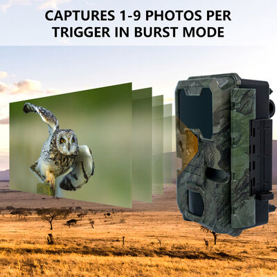 पेशेवर आउटडोर पशु अवलोकन के लिए उपयुक्त 110×97×66 मिमी आकार वाला 2 इंच एलसीडी शिकार कैमरा