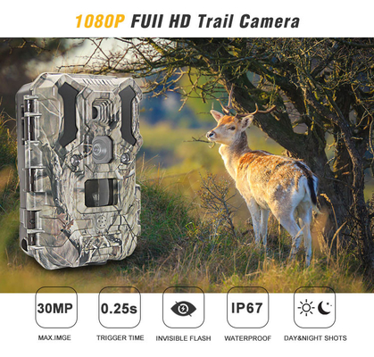 इन्फ्रारेड एल ई डी वन्यजीव शिकार कैमरा 30MP 1080P IP66