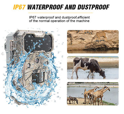 गति सक्रिय वन्यजीव कैमरा