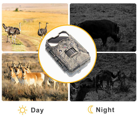 गति सक्रिय वन्यजीव कैमरा