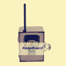 हिरण के लिए 12MP हंटिंग मोशन सेंसर कैमरा डिजिटल वाइल्डलाइफ कैमरा