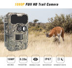 पशु अवलोकन हिरण शिकार वीडियो कैमरा 1920x1080P