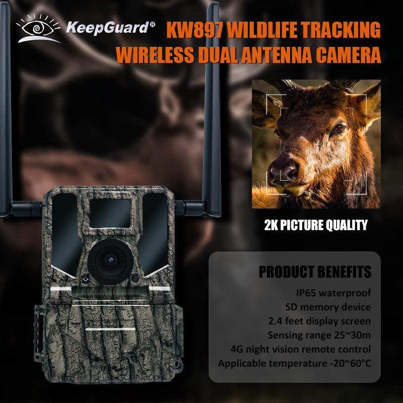 4G वायरलेस ट्रेल कैमरा छिपा हुआ छलावरण KW897 डबल एंटीना के साथ रात दृष्टि 36MP 2K वीडियो हिरण शिकार के लिए